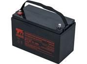 Akumultor T6 Power NP12-100, 12V, 100Ah